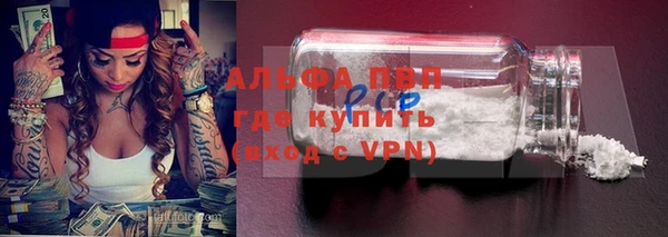 индика Арсеньев