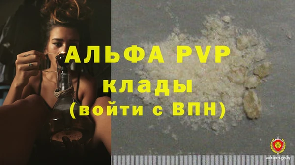 индика Арсеньев