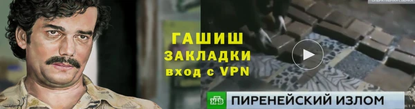 дмт Щигры