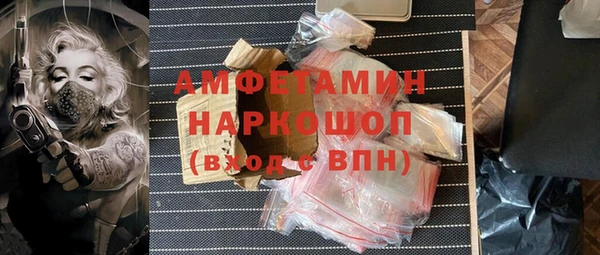 гашик Новозыбков
