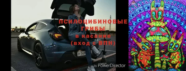 индика Арсеньев