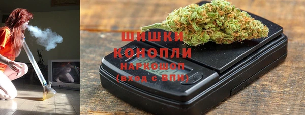индика Арсеньев