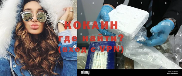 гашик Новозыбков