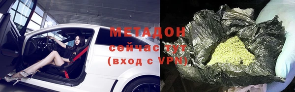 индика Арсеньев
