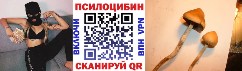 Псилоцибиновые грибы Cubensis  Вельск 
